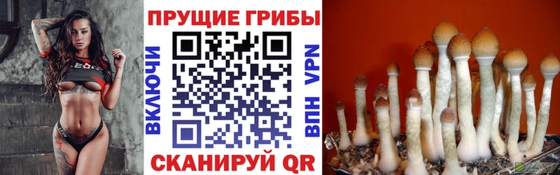 Псилоцибиновые грибы мухоморы  ссылка на мегу маркетплейс  Выкса  цена  